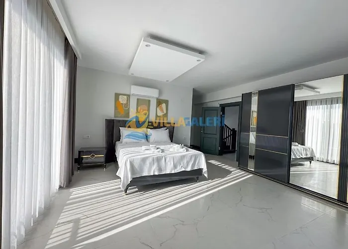 Galaxy In ヴィラ フェティエ