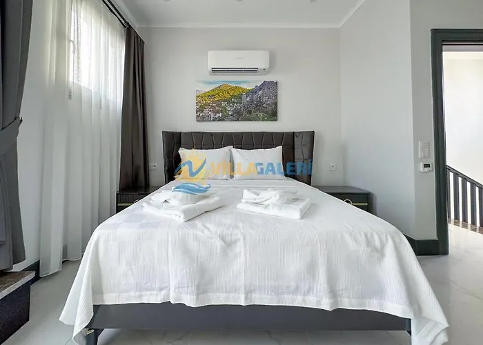 Galaxy In ヴィラ *